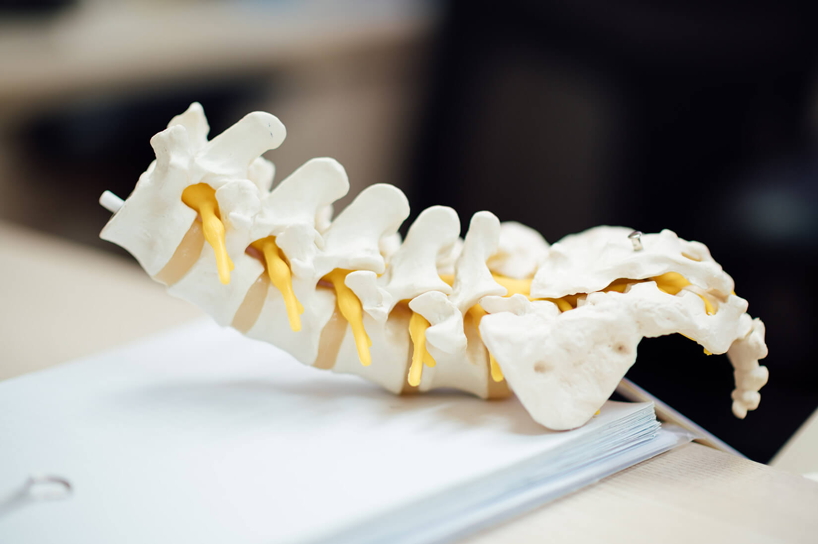 chiropractic biophysics chiropractic biophysics