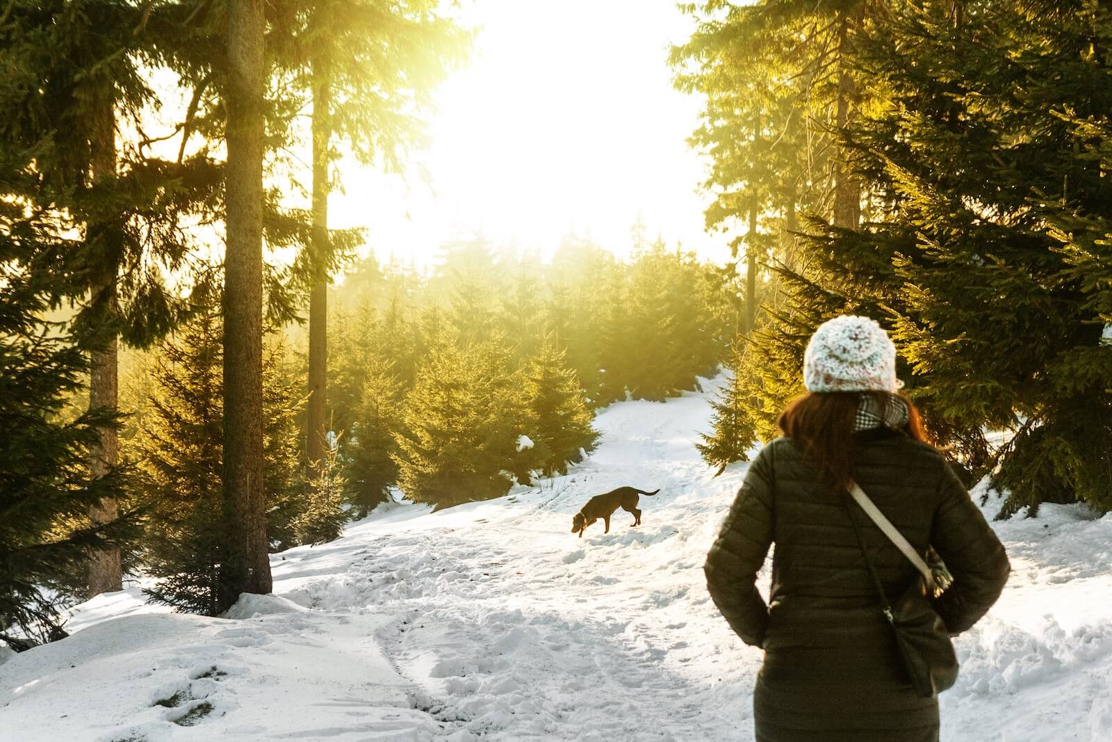 chiropractic-care-in-cold-seasons chiropractic care in cold seasons